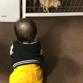 【10m10d】ワンチャンラブの画像