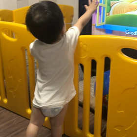 【1y6m14d】好きなDVDの画像