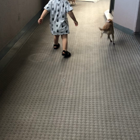 【1y6m20d】歩いたよの画像