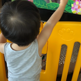 【1y5m20d】でんでんむしむしかたつむりの画像