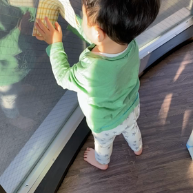 【1y11m23d】家のお手伝いの画像