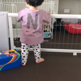 【1y4m13d】意思表示の画像