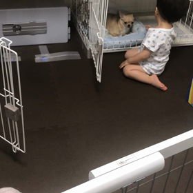 【1y6m11d】心配という感情の画像