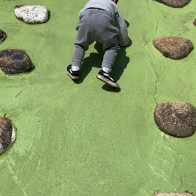 【2y3m19d】スタスタ登れるよの画像