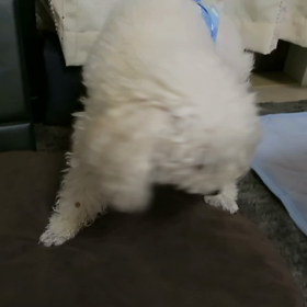 心配(>_<)の画像