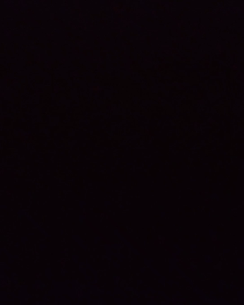 久しぶりのウクレレさん。の記事動画