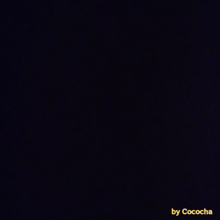 またあなたのことを考えてたの記事動画