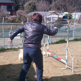 競技会コースの画像