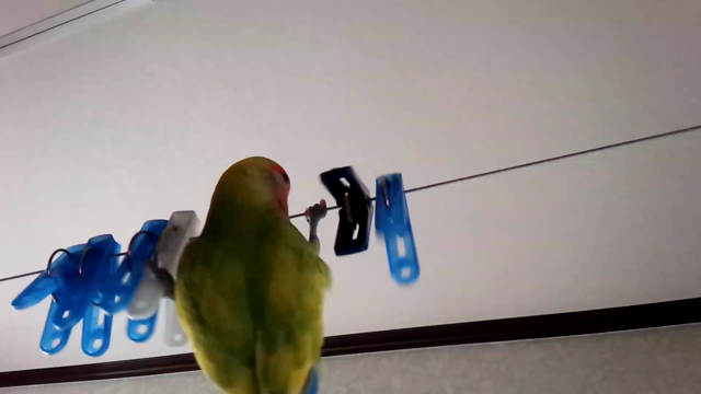 (≧∇≦)の記事動画
