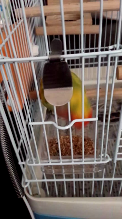 (≧∇≦)の記事動画