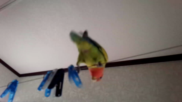 (≧∇≦)の記事動画
