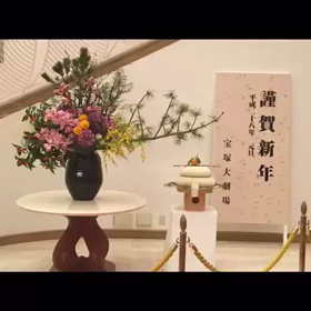 2016年元日、宝塚の思い出♪の画像