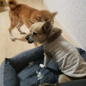 KYの画像