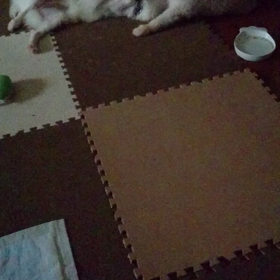 ハートを作ってみた。の画像