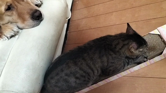 到着早過ぎ(・.・;)の記事動画