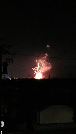 長野市「えびす講煙火大会」終わるの記事動画