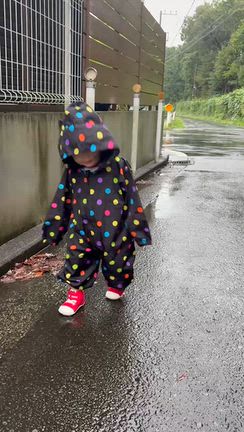 久々の〜(◕ᴗ◕✿)の記事動画