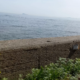 海だぁ～の画像