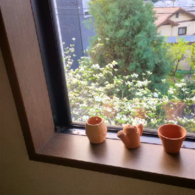 大きくなったね ハナミズキの画像