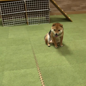 オムツの画像