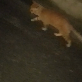 今日もの画像