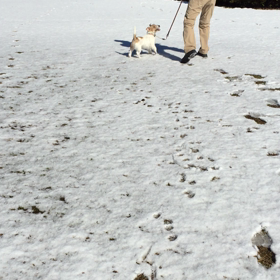 雪だ！の画像