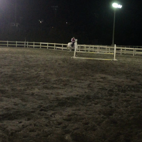 ♡今から乗馬レッスン♫♡の画像