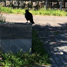 願いが叶うかも☆*:.｡. o(≧▽≦)o .｡.:*☆の画像