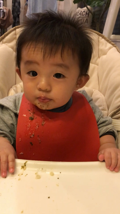食べ物で遊ぶ人 動画の記事動画