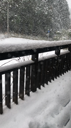 九州ですが今年も雪が降り積もりましたの記事動画