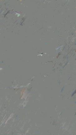 誘惑する猫 VS 確定申告の記事動画