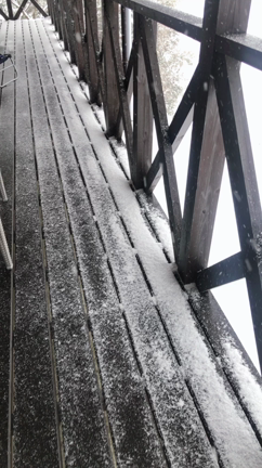 九州ですが今年も雪が降り積もりましたの記事動画