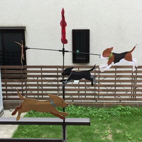 今日の風見犬の画像