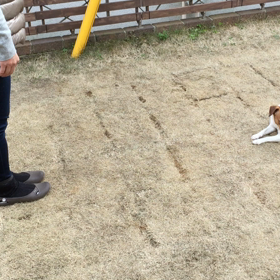 ココのヒールポジションの画像