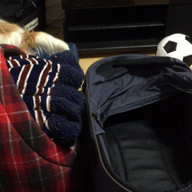 ココのんわしゃわしゃの画像