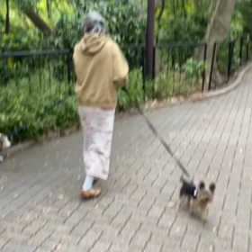 散歩の画像
