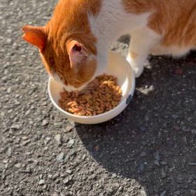 続…続けることの画像