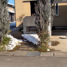 お日様と風の無い日の画像