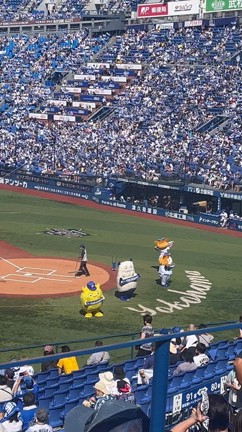 野球観戦♯2の記事動画