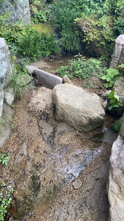 いうなれば自分解放療法の記事動画