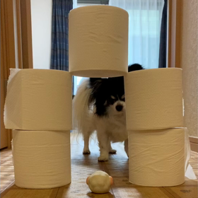 面白くて可愛い男の画像