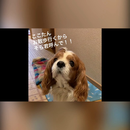 兄の威厳…の記事動画