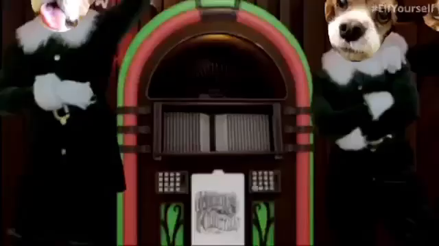 デカキャバクラブの記事動画