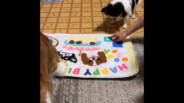 ここたんの力技の記事動画