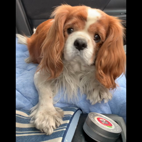 個性は大事の画像