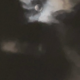 昨夜の満月、夜中に雲の間から見えましたの画像