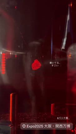 【関西万博パビリオン】PASONA館に初潜入！並ばず入れた裏ワザと見どころの記事動画