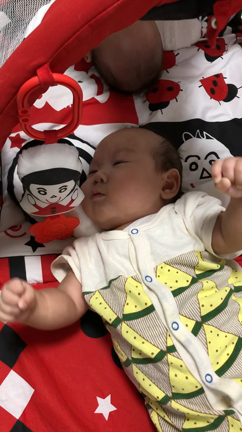 八面体モビールの記事動画