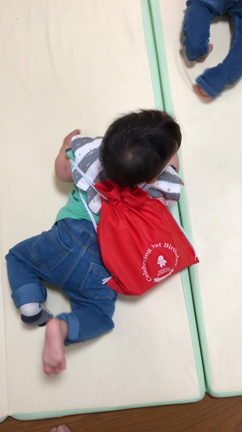 双子1歳になりましたの記事動画