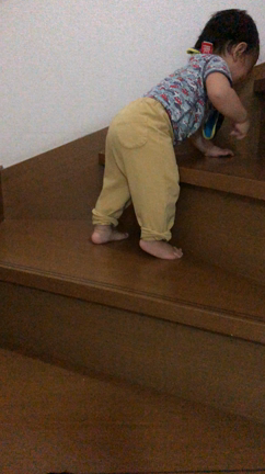 双子１歳３か月（修正１歳１か月）＆長男３歳８か月の記事動画